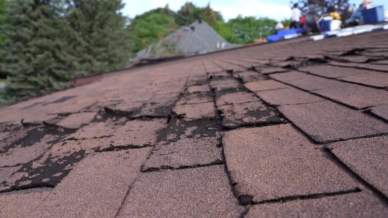 Best Sheet Metal Roofing  in Payette, ID